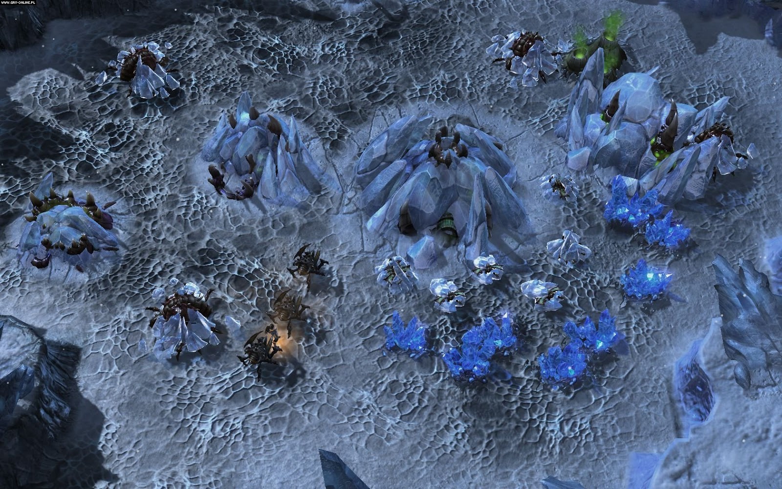 Swarm assault size 20 20mbps